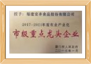 市級重點龍頭企（qǐ）業